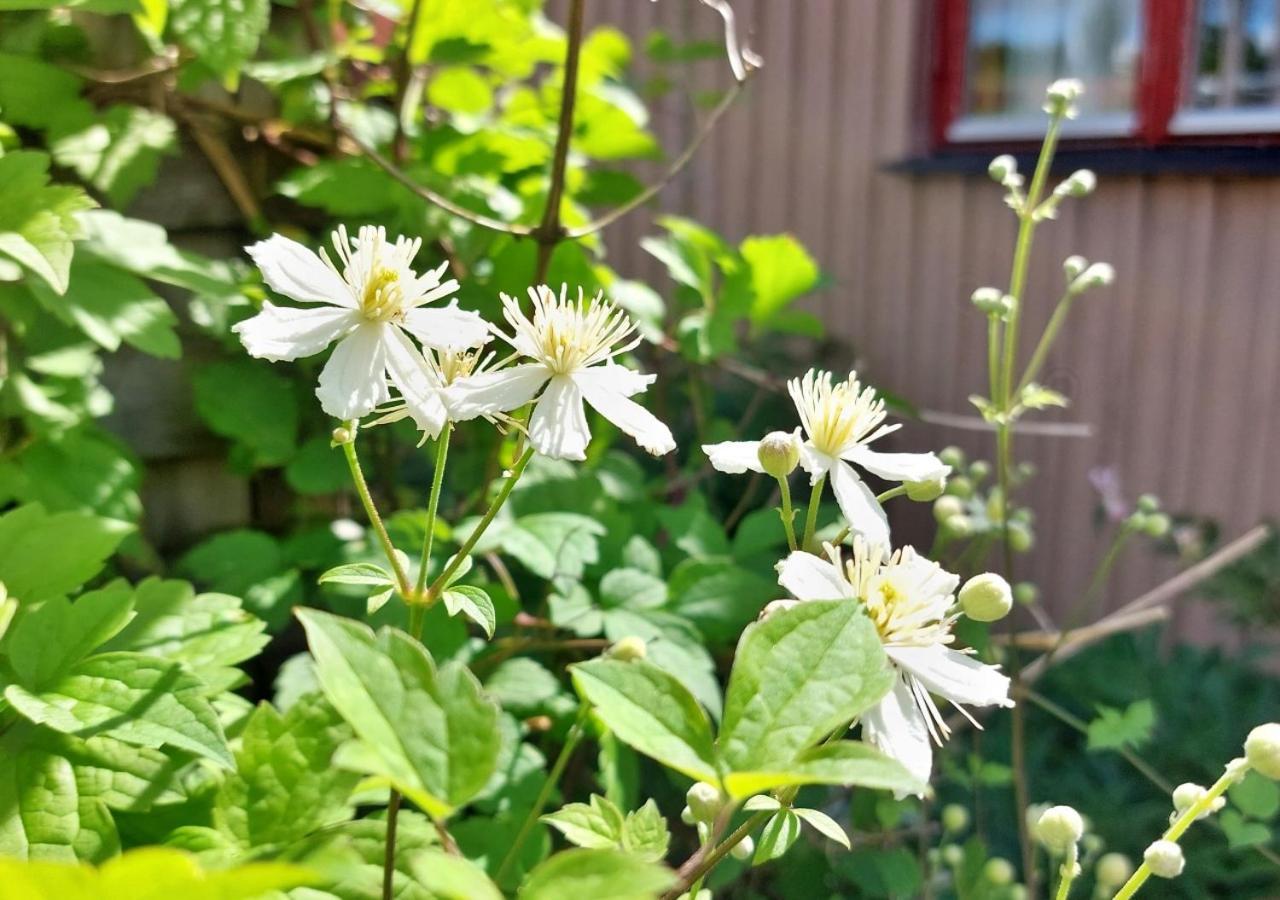 Alingsås Flora Dekor Gaestgard旅馆 外观 照片