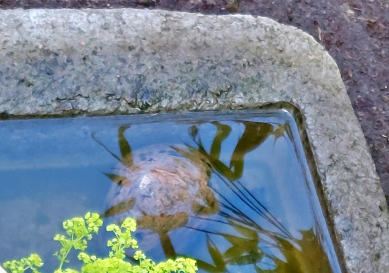 Alingsås Flora Dekor Gaestgard旅馆 外观 照片