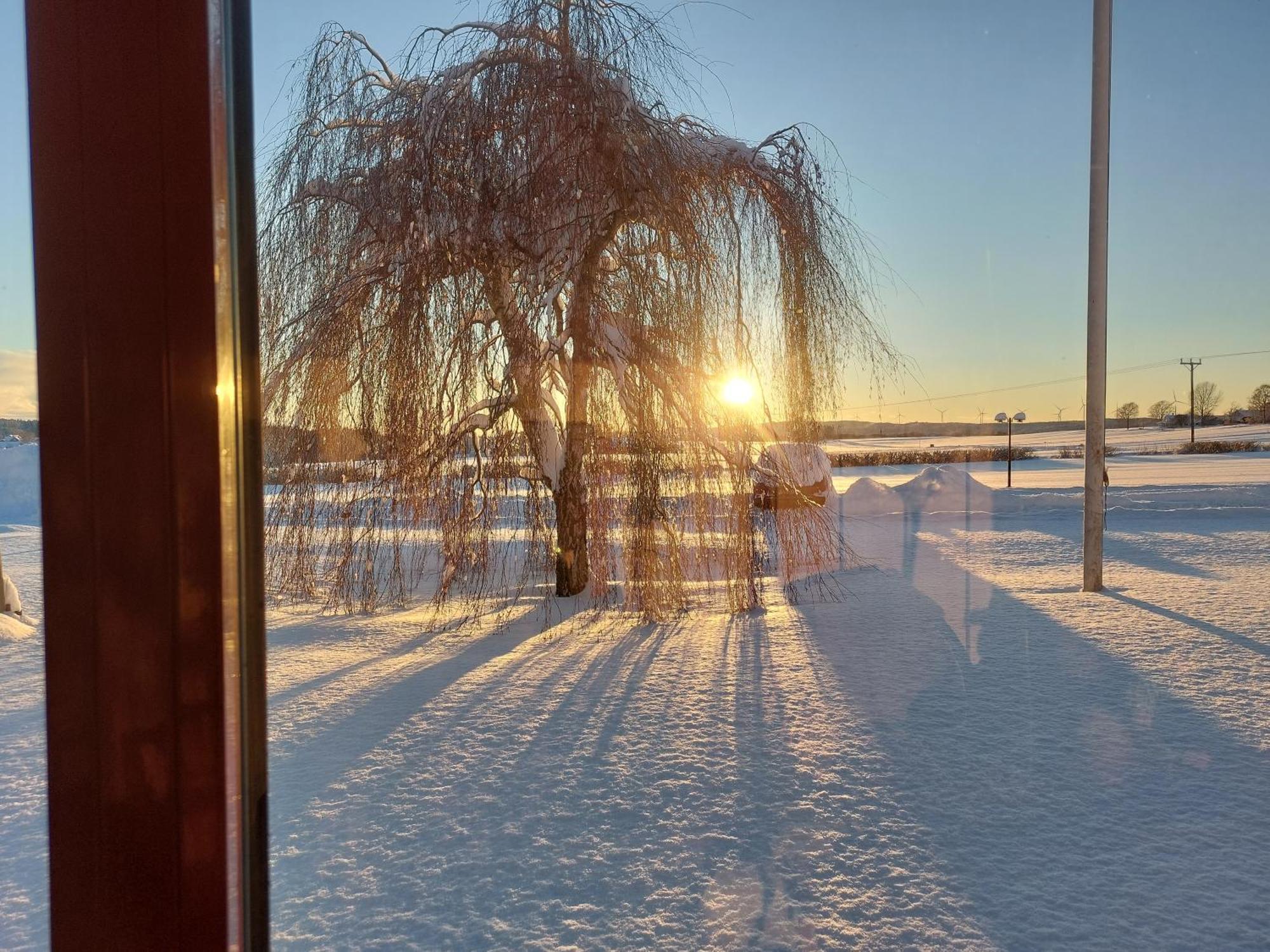 Alingsås Flora Dekor Gaestgard旅馆 外观 照片