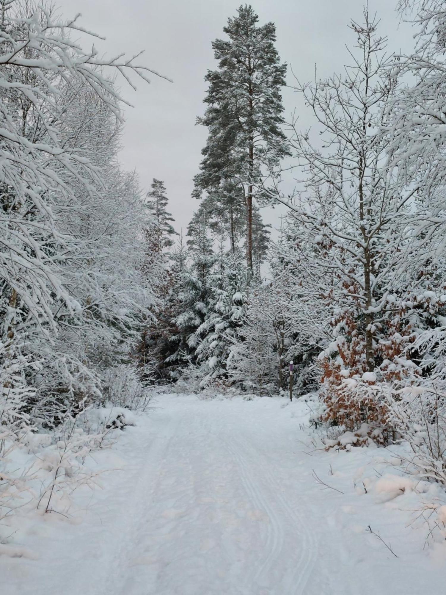 Alingsås Flora Dekor Gaestgard旅馆 外观 照片